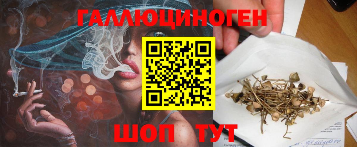 Галлюциногенные грибы Cubensis  Вход с VPN  Горно-Алтайск 